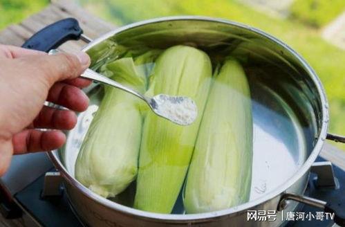 拉瓜煮着吃做法窍门视频,视频教你轻松掌握烹饪技巧