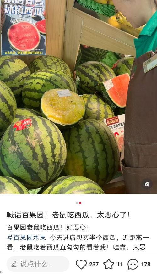 门店吃瓜视频大全,趣味视频大盘点