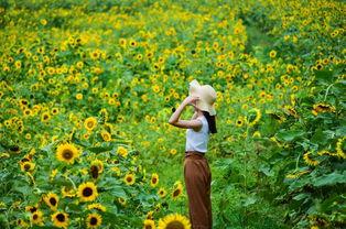 看花和吃瓜故事视频播放,看花吃瓜故事视频盛宴