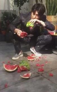 鹿邑吃瓜事件视频最新,一场网络狂欢背后的真相与反思