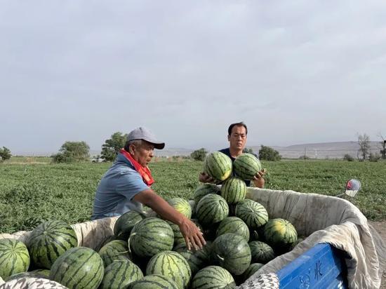 康县吃瓜群众是谁啊视频,一场网络视频引发的全民热议