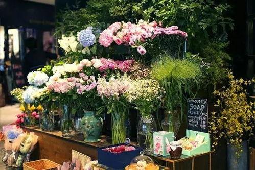 花店的吃瓜视频在哪看到,探寻幕后故事与花店日常