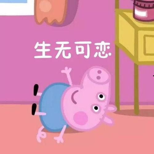 动画小猪吃瓜视频大全集,动画小猪吃瓜视频大全集精彩回顾