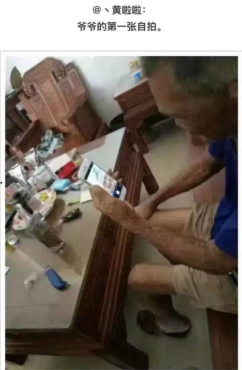 白鲨吃瓜事件视频在线观看,海洋霸主的新食趣