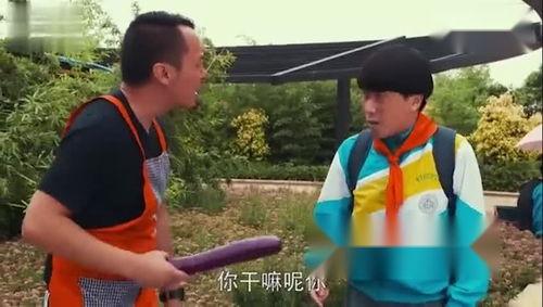 吃瓜视频六点半直播,揭秘娱乐圈幕后故事