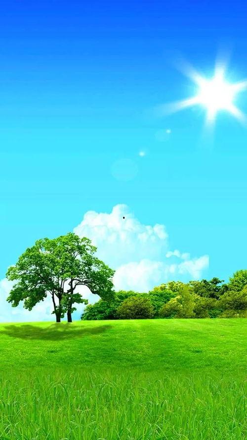 白云晴空吃瓜视频,揭秘热门视频背后的故事