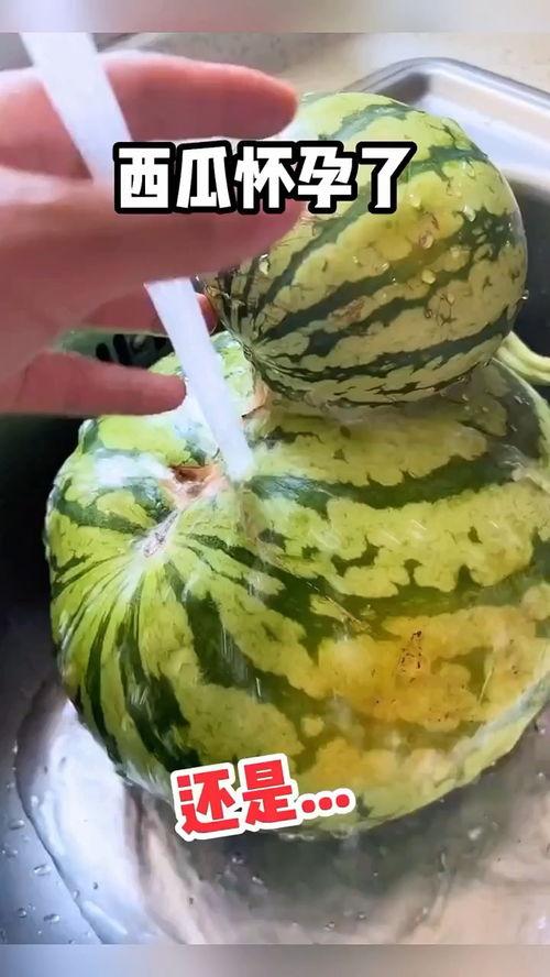 吃脆瓜搞笑视频,短视频里的欢乐脆瓜秀