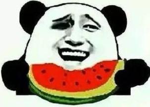 吃瓜群众小老弟视频,带你领略网络红人的魅力