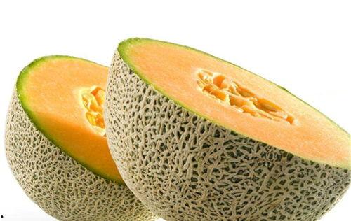 哈密瓜可以酿酒吃吗视频,美味佳酿，尽在掌握