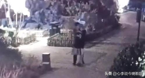 奎屯吃瓜事件视频曝光,视频曝光引发社会热议