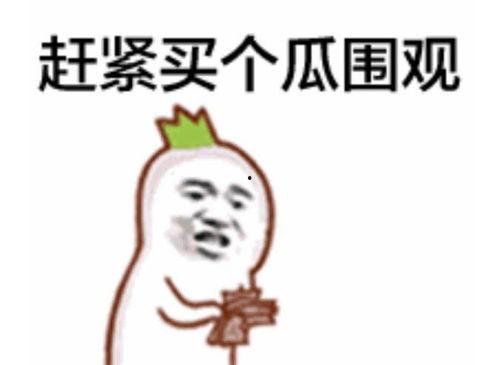 谈钱吃瓜群众视频播放,揭秘视频播放背后的经济秘密