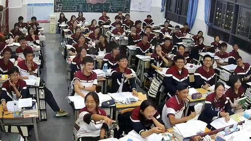 小学生打架吃瓜视频,小学生打架事件引发网友热议