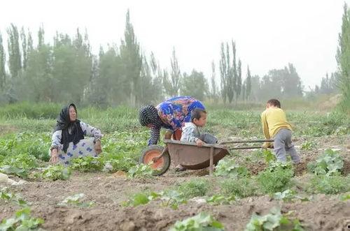 吃瓜群众河流视频,吃瓜群众视角下的自然奇观