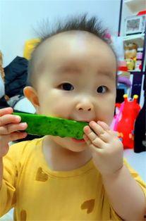 暖宝吃瓜的视频,揭秘娱乐圈幕后故事