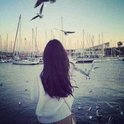 伤感的吃瓜视频素材大全,伤感吃瓜视频素材大全回顾