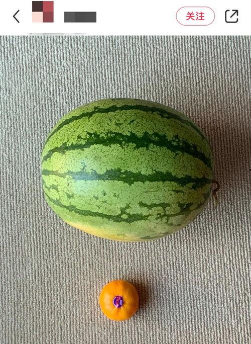 国人吃瓜视频大全,揭秘国人吃瓜视频大全  第3张