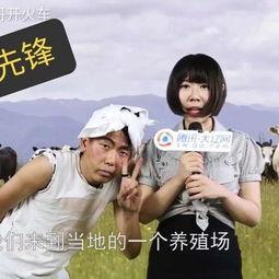 吃瓜女记者采访视频,真实事件背后的故事  第3张