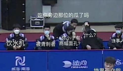 国乒队集体吃瓜视频播放,欢乐氛围引网友热议