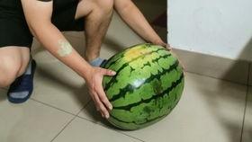 温岭汇头王视频谁有吃瓜,揭秘“吃瓜群众”背后的故事