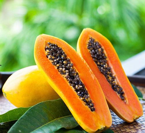 猴姐吃哈密瓜视频大全,哈密瓜视频大全集锦  第2张