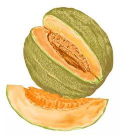 猴姐吃哈密瓜视频大全,哈密瓜视频大全集锦  第3张