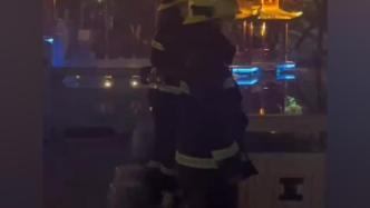 群众吃鬼瓜视频真实吗,真相还是炒作？