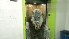 吃瓜恶搞视频,笑料百出，揭秘网络恶搞背后的趣味与争议  第2张