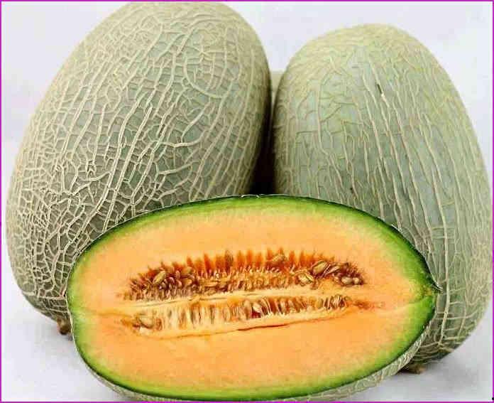 猴哥吃哈密瓜视频,哈密瓜盛宴欢乐时光  第2张