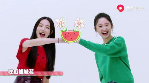 璐宝吃瓜爆料视频完整版,揭秘娱乐圈幕后真相  第3张