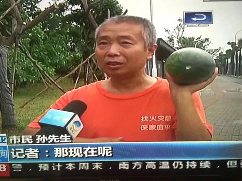 菏泽杨威吃瓜事件视频,网络热议的瓜田奇闻