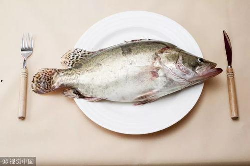 瓜宝鱼怎么吃最好视频,视频教你最佳食用方法  第3张