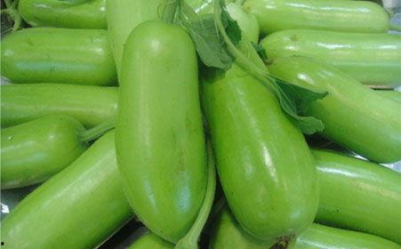 生蛇可以吃蒲瓜吗视频,蒲瓜的神奇食用方法  第3张