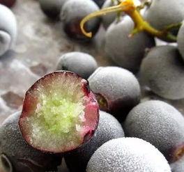 吃瓜能吃葡萄冰棍吗视频