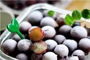 吃瓜能吃葡萄冰棍吗视频  第3张