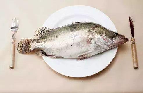 鱼鱼吃瓜前男友视频,一场情感纠葛的视觉重现  第2张